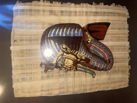 Estimation de la peinture sur papyrus authentique : état et encadrement.