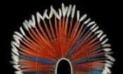 Estimation coiffe de plumes gratuite