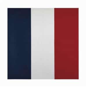 Drapeau Jean-Pierre Raynaud : expertise et estimation